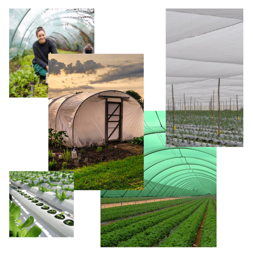 WELCOME TO BIG FIELD CARE PVT. LTD.